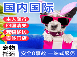 临汾尧都机场托运国际宠物托运 【国